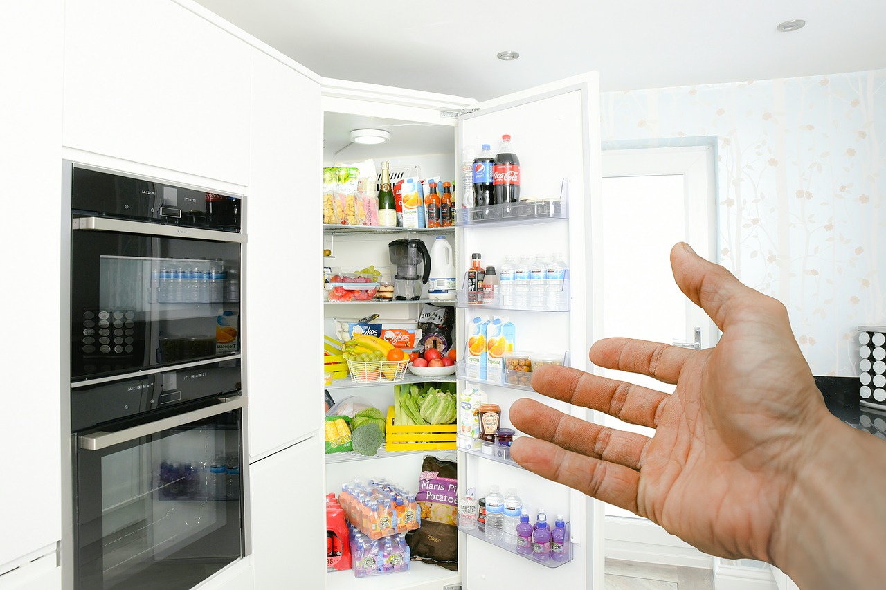 New Refrigerator journey