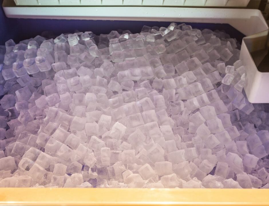 Freestanding Ice Makers - bin