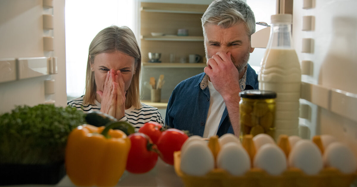 Common Refrigerator Problems